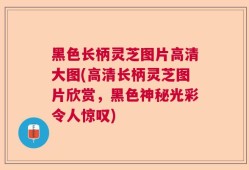 黑色长柄灵芝图片高清大图(高清长柄灵芝图片欣赏，黑色神秘光彩令人惊叹)