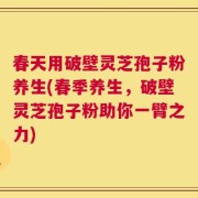 春天用破壁灵芝孢子粉养生(春季养生，破壁灵芝孢子粉助你一臂之力)