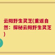 云阳野生灵芝(重返自然：探秘云阳野生灵芝)