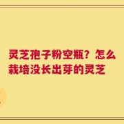 灵芝孢子粉空瓶？怎么栽培没长出芽的灵芝