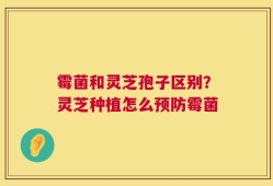 霉菌和灵芝孢子区别？灵芝种植怎么预防霉菌