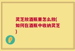 灵芝放酒瓶里怎么放(如何在酒瓶中收纳灵芝)