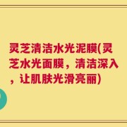 灵芝清洁水光泥膜(灵芝水光面膜，清洁深入，让肌肤光滑亮丽)