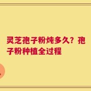 灵芝孢子粉炖多久？孢子粉种植全过程