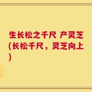 生长松之千尺 产灵芝(长松千尺，灵芝向上)