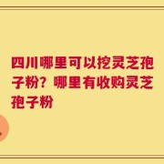 四川哪里可以挖灵芝孢子粉？哪里有收购灵芝孢子粉