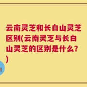 云南灵芝和长白山灵芝区别(云南灵芝与长白山灵芝的区别是什么？)