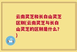 云南灵芝和长白山灵芝区别(云南灵芝与长白山灵芝的区别是什么？)