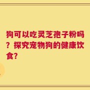狗可以吃灵芝孢子粉吗？探究宠物狗的健康饮食？