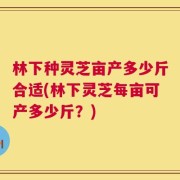 林下种灵芝亩产多少斤合适(林下灵芝每亩可产多少斤？)