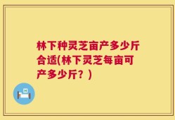 林下种灵芝亩产多少斤合适(林下灵芝每亩可产多少斤？)