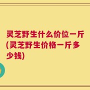 灵芝野生什么价位一斤(灵芝野生价格一斤多少钱)