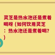 灵芝是热水泡还是煮着喝呀 (如何饮用灵芝：热水泡还是煮着喝？)