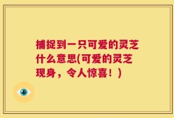 捕捉到一只可爱的灵芝什么意思(可爱的灵芝现身，令人惊喜！)