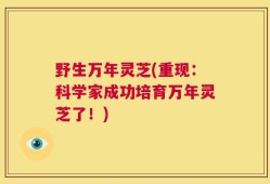 野生万年灵芝(重现：科学家成功培育万年灵芝了！)