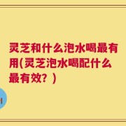 灵芝和什么泡水喝最有用(灵芝泡水喝配什么最有效？)