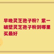 早晚灵芝孢子粉？紫一破壁灵芝孢子粉到哪里买最好