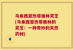 马来西亚热带雨林灵芝(马来西亚热带雨林的灵芝：一种奇妙的天然药材)