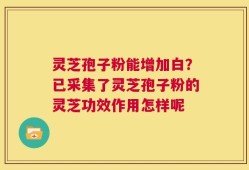 灵芝孢子粉能增加白？已采集了灵芝孢子粉的灵芝功效作用怎样呢