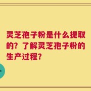 灵芝孢子粉是什么提取的？了解灵芝孢子粉的生产过程？