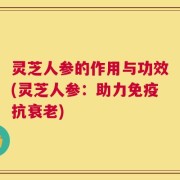 灵芝人参的作用与功效(灵芝人参：助力免疫抗衰老)