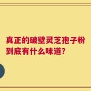 真正的破壁灵芝孢子粉到底有什么味道？