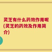 灵芝有什么药效作用呢(灵芝的药效及作用简介)