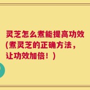 灵芝怎么煮能提高功效(煮灵芝的正确方法，让功效加倍！)