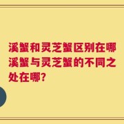 溪蟹和灵芝蟹区别在哪溪蟹与灵芝蟹的不同之处在哪？