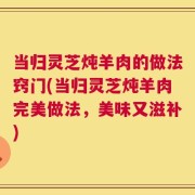 当归灵芝炖羊肉的做法窍门(当归灵芝炖羊肉完美做法，美味又滋补)