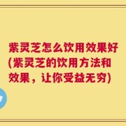 紫灵芝怎么饮用效果好(紫灵芝的饮用方法和效果，让你受益无穷)