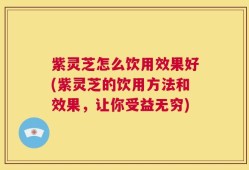 紫灵芝怎么饮用效果好(紫灵芝的饮用方法和效果，让你受益无穷)