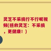 灵芝不采摘行不行呢视频(拯救灵芝：不采摘，更健康！)