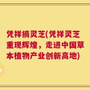 凭祥摘灵芝(凭祥灵芝重现辉煌，走进中国草本植物产业创新高地)