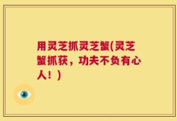 用灵芝抓灵芝蟹(灵芝蟹抓获，功夫不负有心人！)