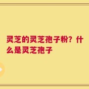 灵芝的灵芝孢子粉？什么是灵芝孢子