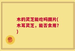 木的灵芝能吃吗图片(木耳灵芝，能否食用？)