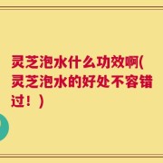 灵芝泡水什么功效啊(灵芝泡水的好处不容错过！)