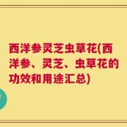 西洋参灵芝虫草花(西洋参、灵芝、虫草花的功效和用途汇总)