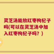 灵芝汤能放红枣枸杞子吗(可以在灵芝汤中加入红枣枸杞子吗？)