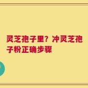 灵芝孢子里？冲灵芝孢子粉正确步骤