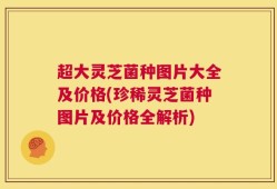 超大灵芝菌种图片大全及价格(珍稀灵芝菌种图片及价格全解析)