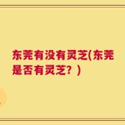 东莞有没有灵芝(东莞是否有灵芝？)