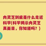 肉灵芝到底是什么走近科学(科学揭示肉灵芝真面目，你知道吗？)