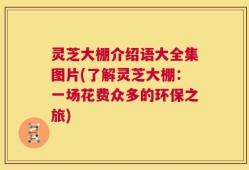 灵芝大棚介绍语大全集图片(了解灵芝大棚：一场花费众多的环保之旅)