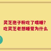 灵芝孢子粉吃了嗜睡？吃灵芝老想睡觉为什么