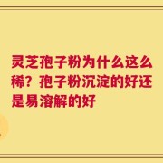 灵芝孢子粉为什么这么稀？孢子粉沉淀的好还是易溶解的好