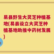 易县野生大灵芝种植基地(易县设立大灵芝种植基地助推中药材发展)