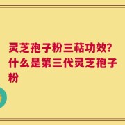 灵芝孢子粉三萜功效？什么是第三代灵芝孢子粉
