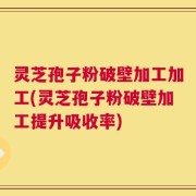 灵芝孢子粉破壁加工加工(灵芝孢子粉破壁加工提升吸收率)